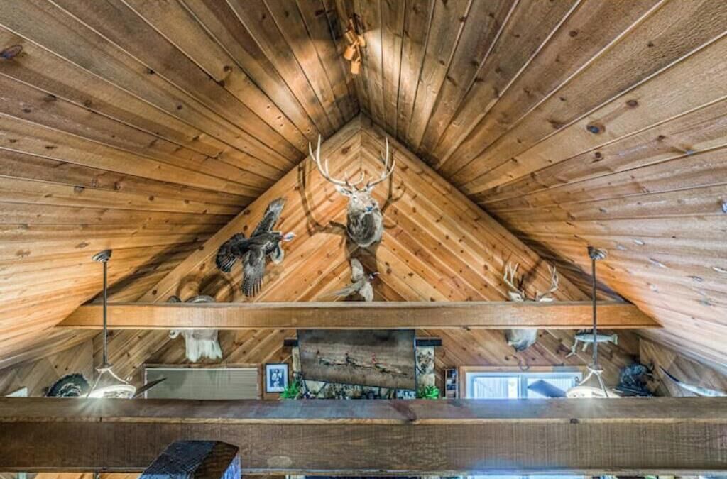 Photo of Others in Ruidoso