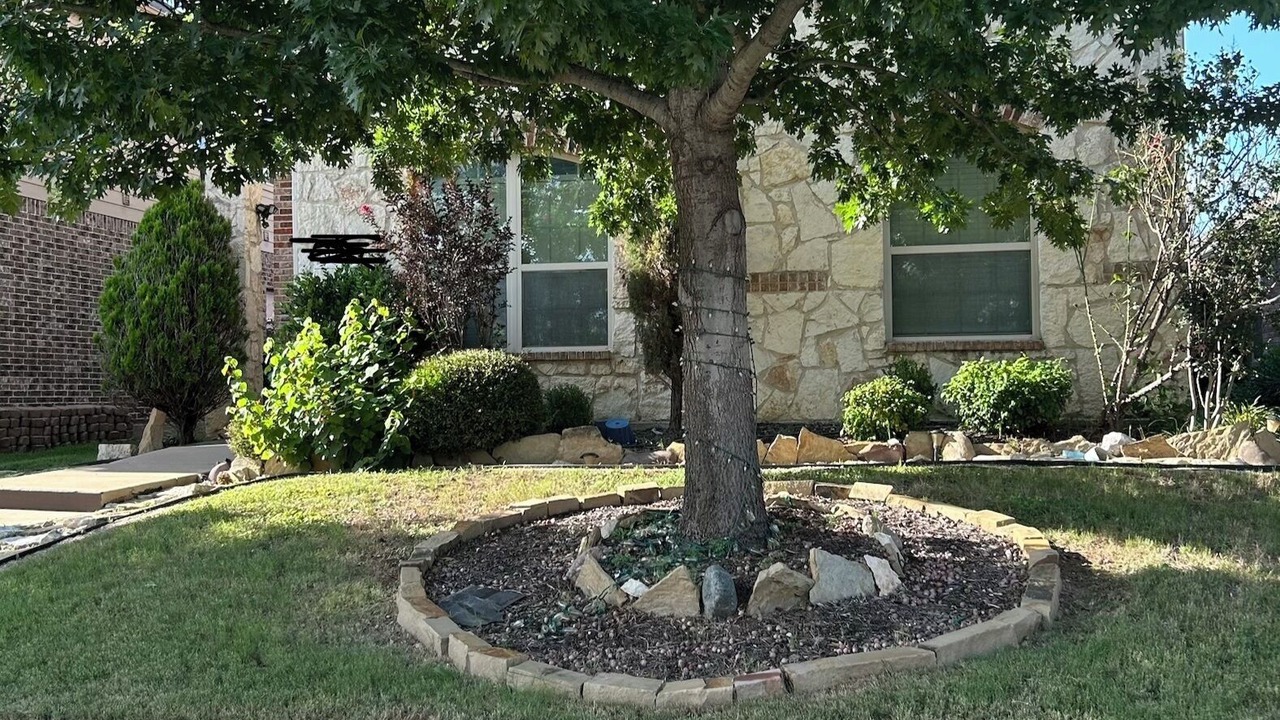 Photo of Outdoor in Lincoln Park