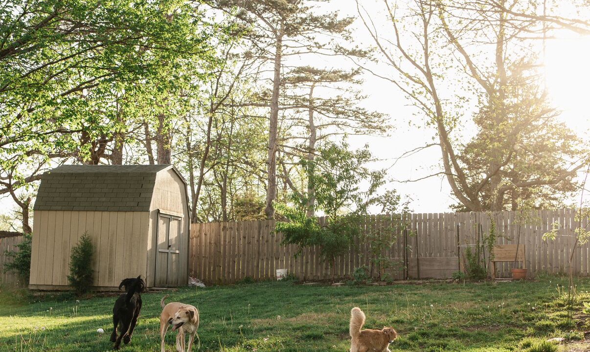 Photo of Outdoor in Merriam
