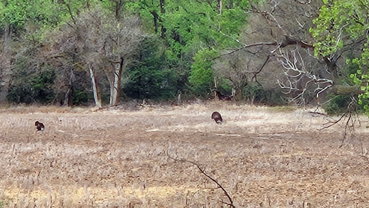 Photo of Others in Decatur County