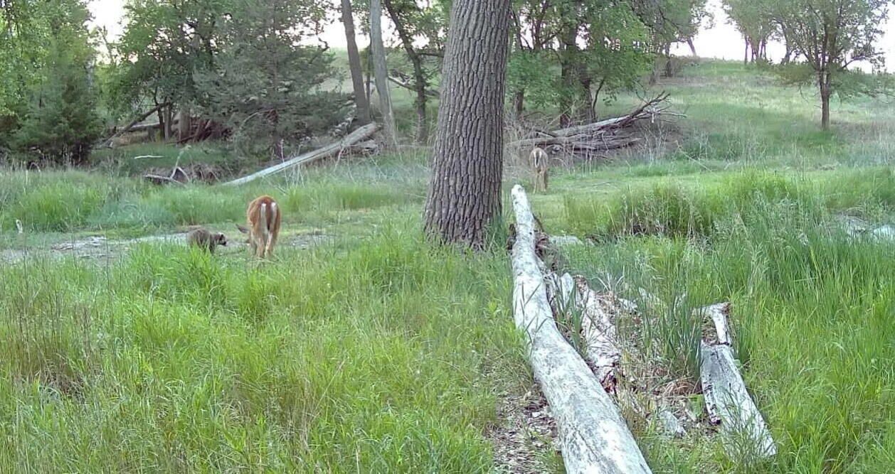 Photo of Others in Decatur County