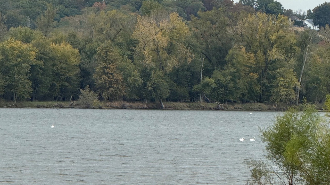 Photo of Others in Niota