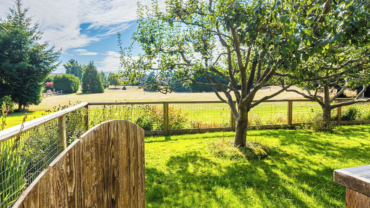 Photo of Outdoor in Sequim