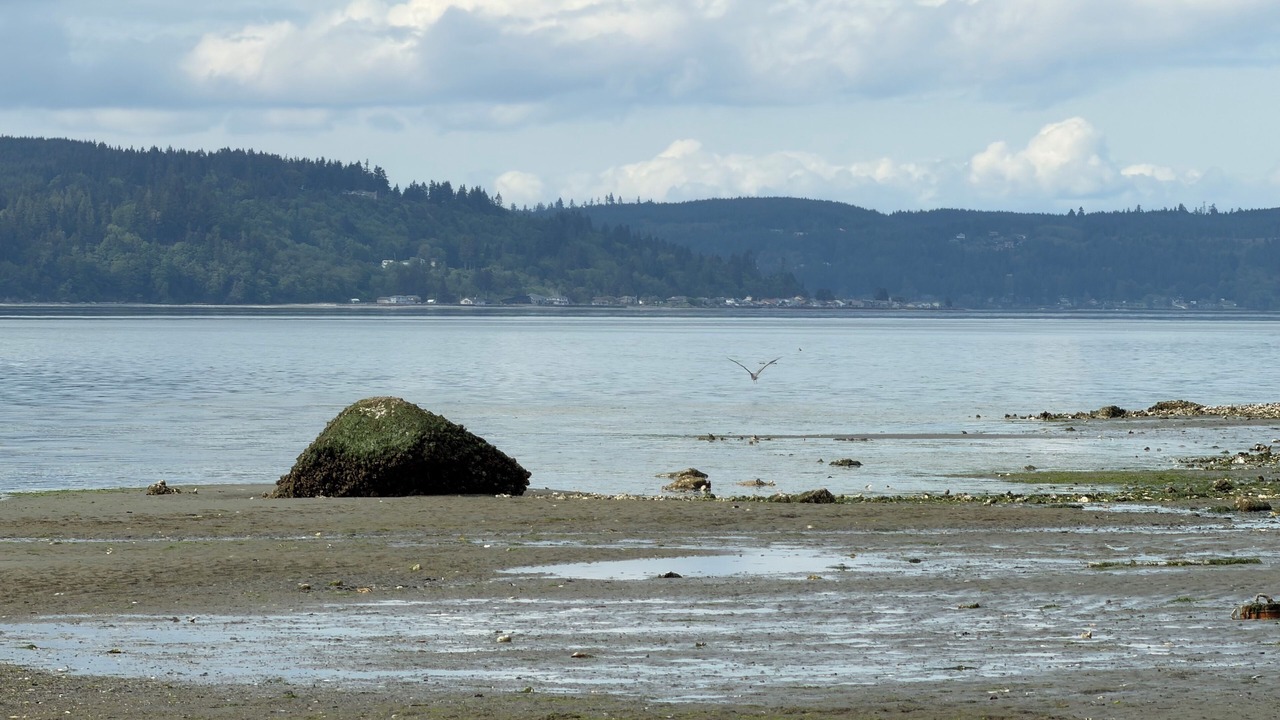 Photo of Others in Poulsbo