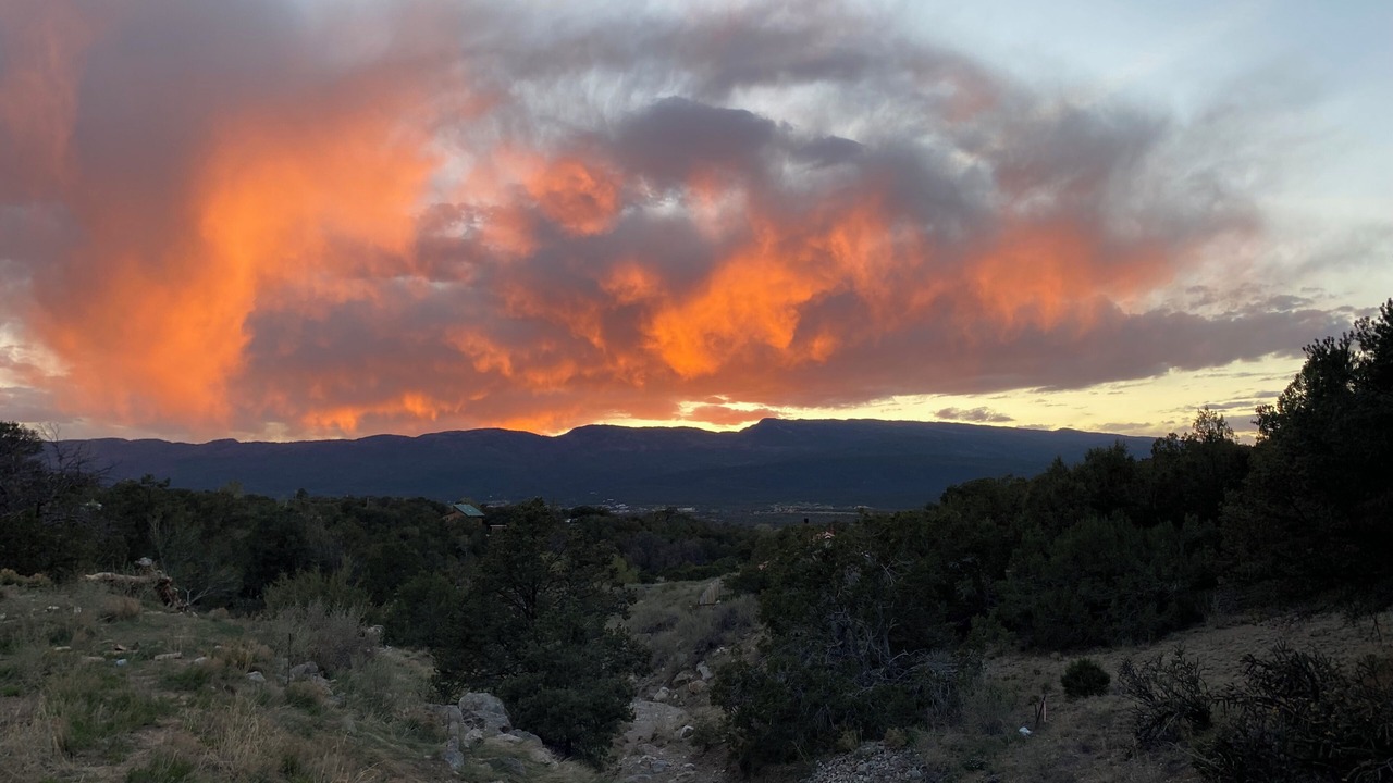 Photo of Others in Sandia Park