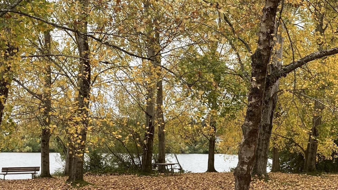 Photo of Others in Wallingford