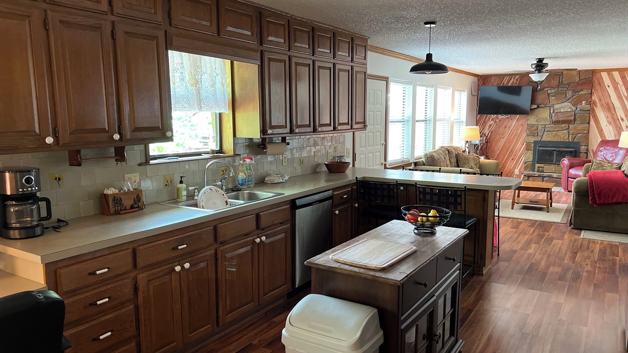 Photo of Kitchen in Longtown
