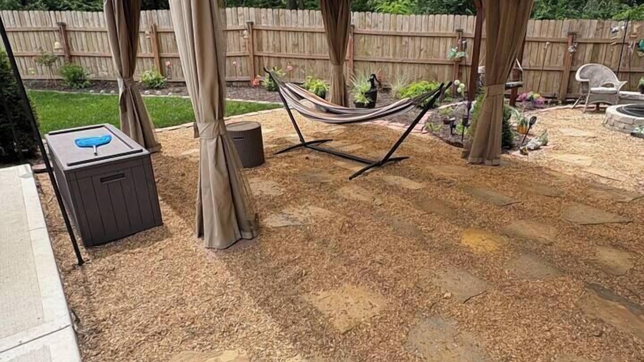 Photo of Outdoor in Waldron