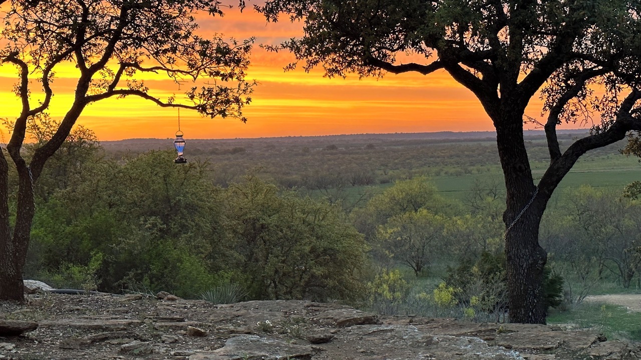 Photo of Others in Burkett