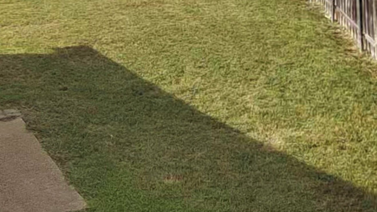 Photo of Outdoor in Oak Cliff