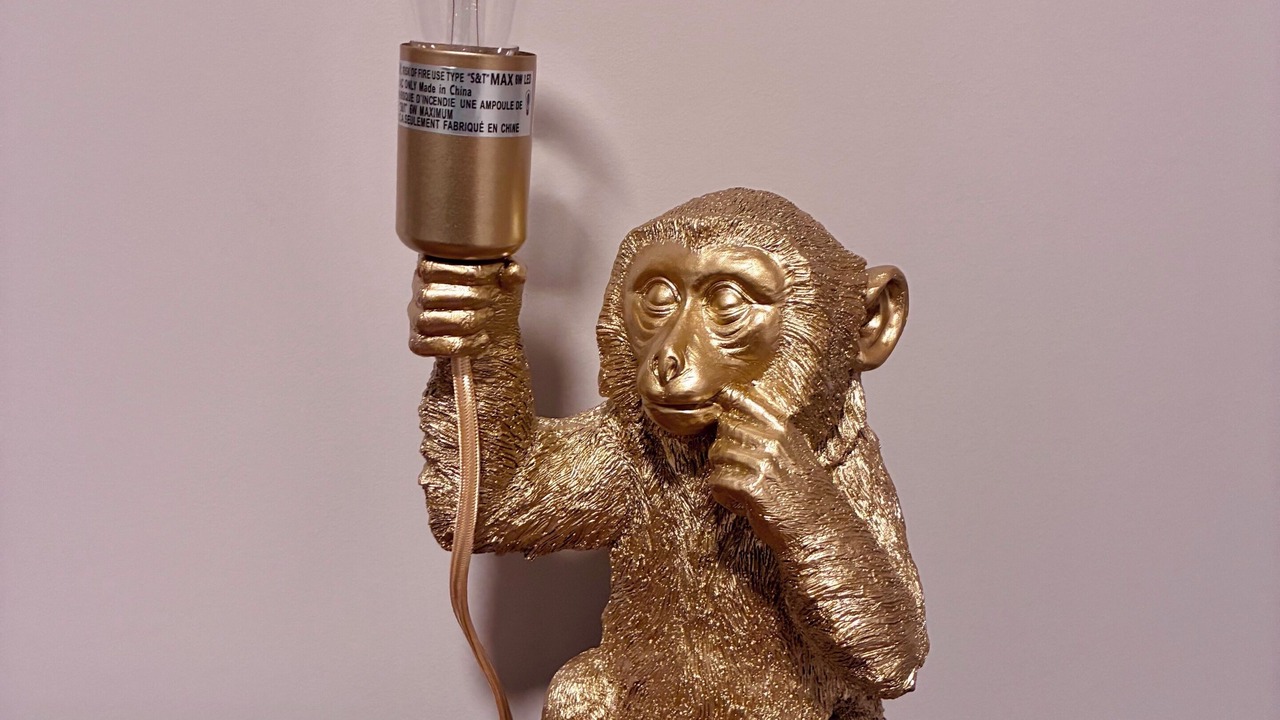 Photo of Others in Ottawa