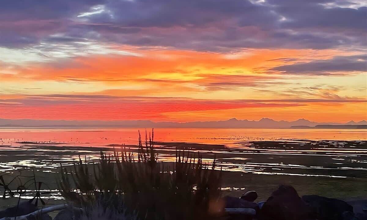 Photo of Others in Sequim