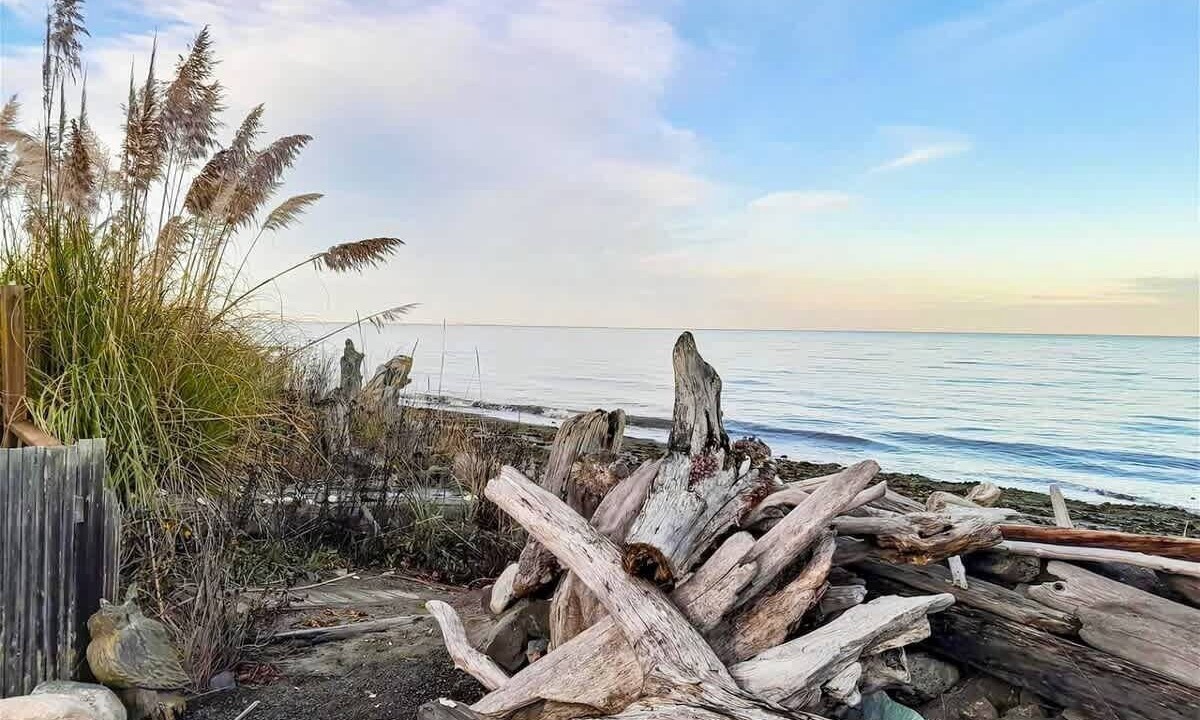 Photo of Others in Sequim