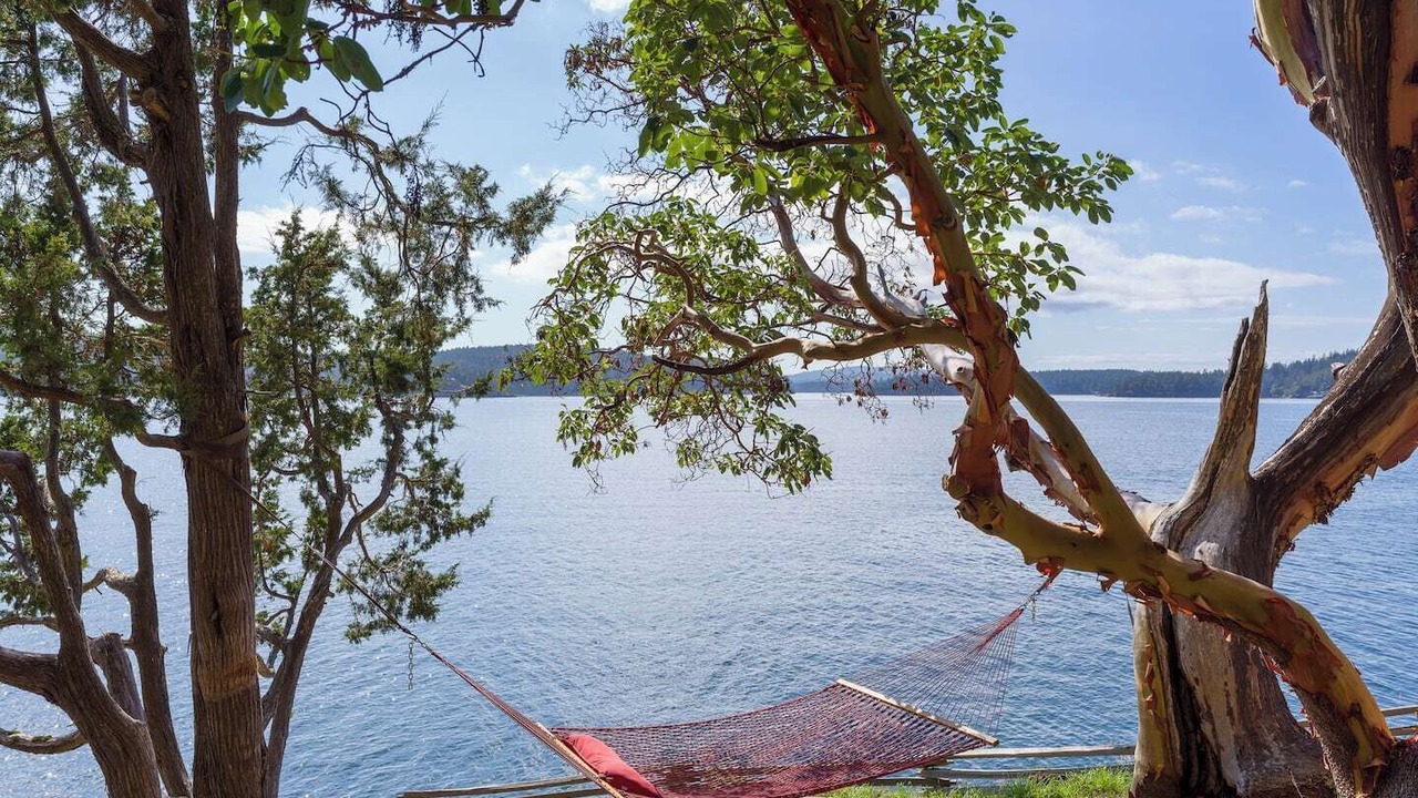 Photo of Outdoor in Orcas