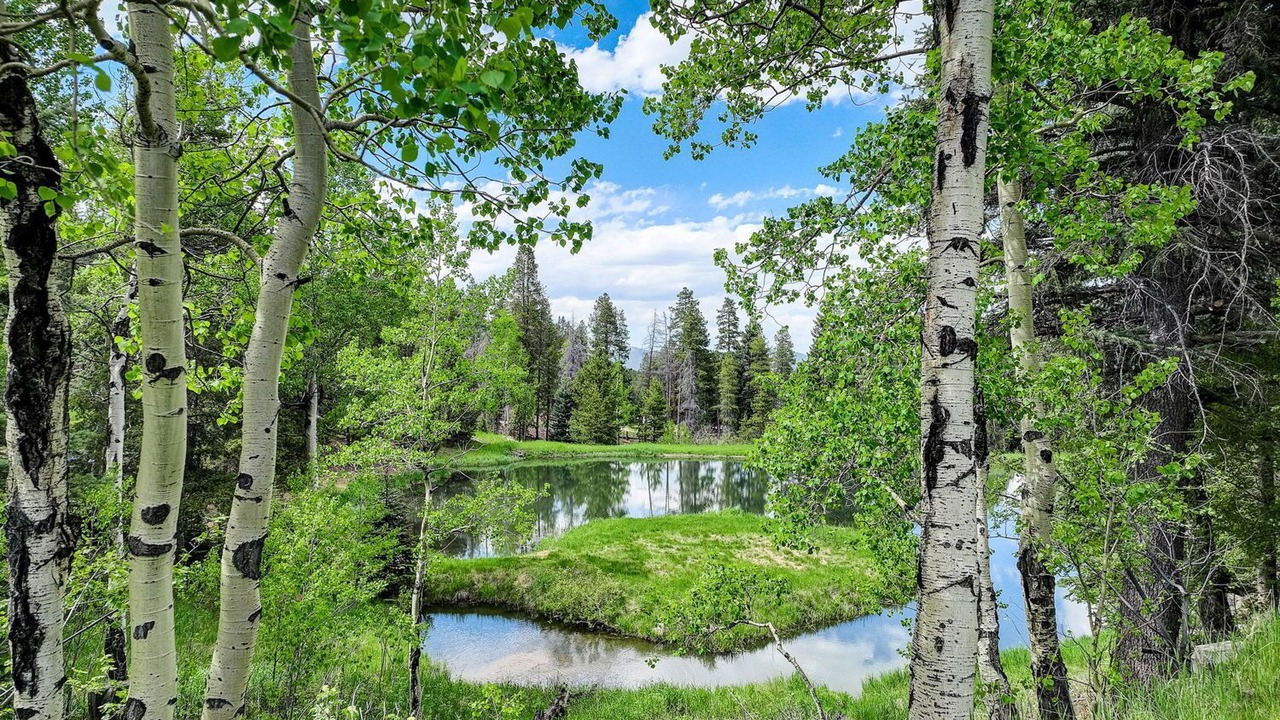 Photo of Outdoor in Shadow Mountain
