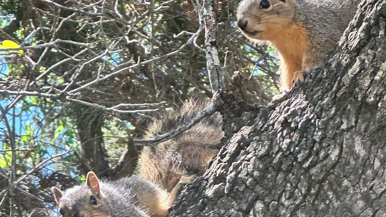 Photo of Others in Graham