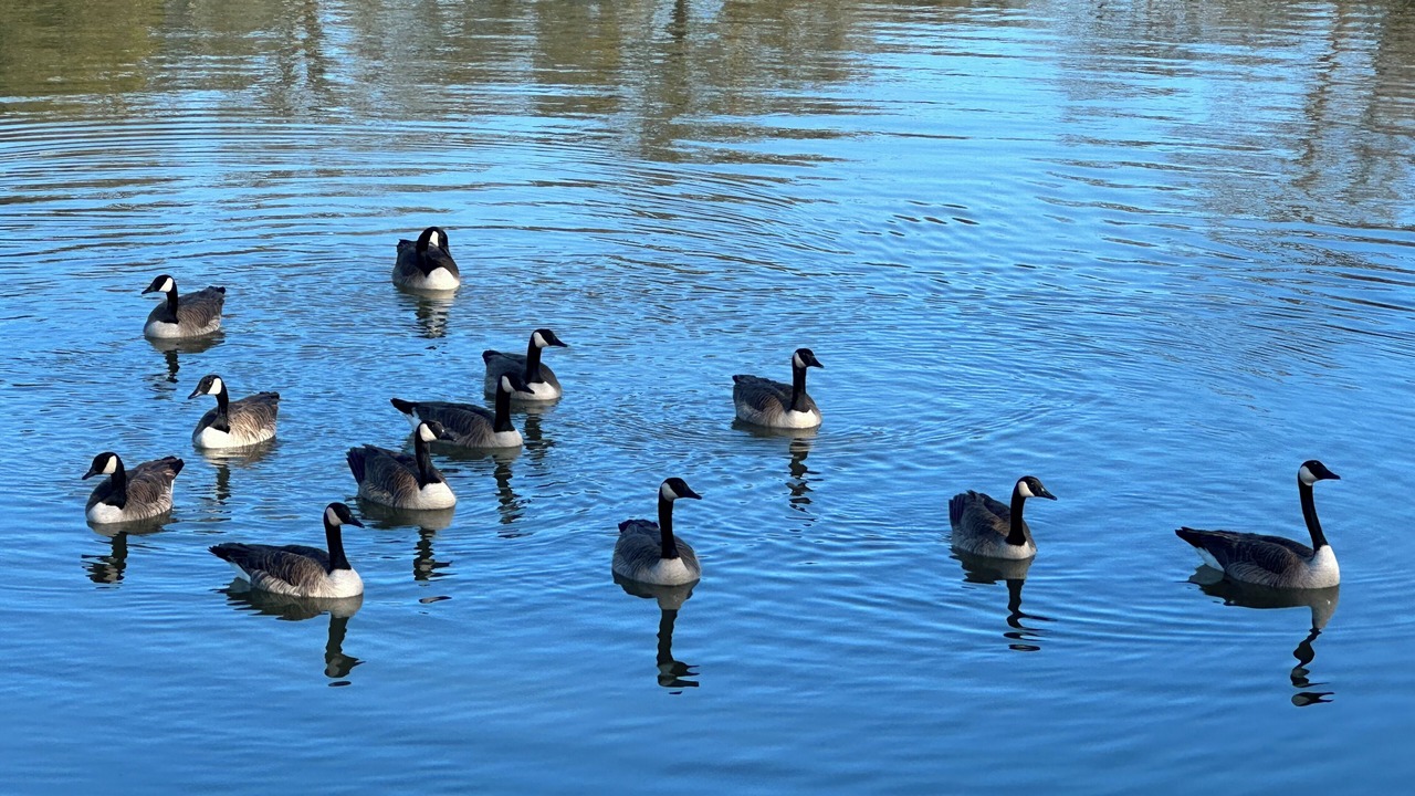 Photo of Others in Graham