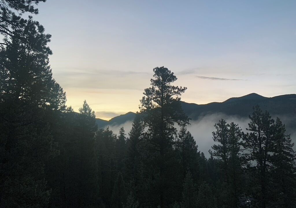 Photo of Others in Evergreen