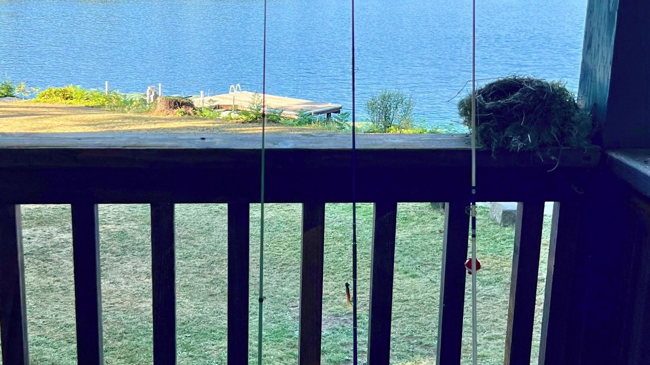 Photo of Others in Eatonville