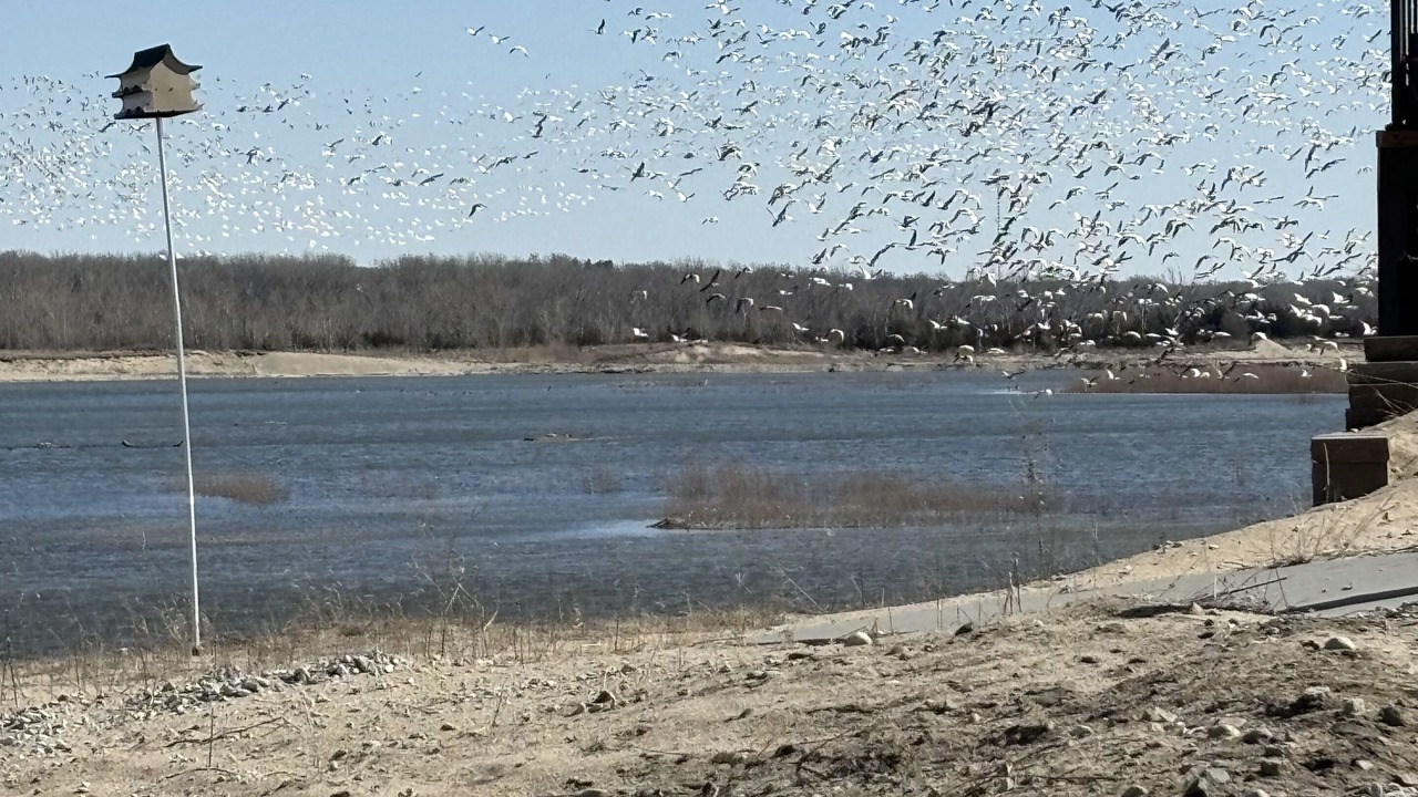 Photo of Others in Cuming County
