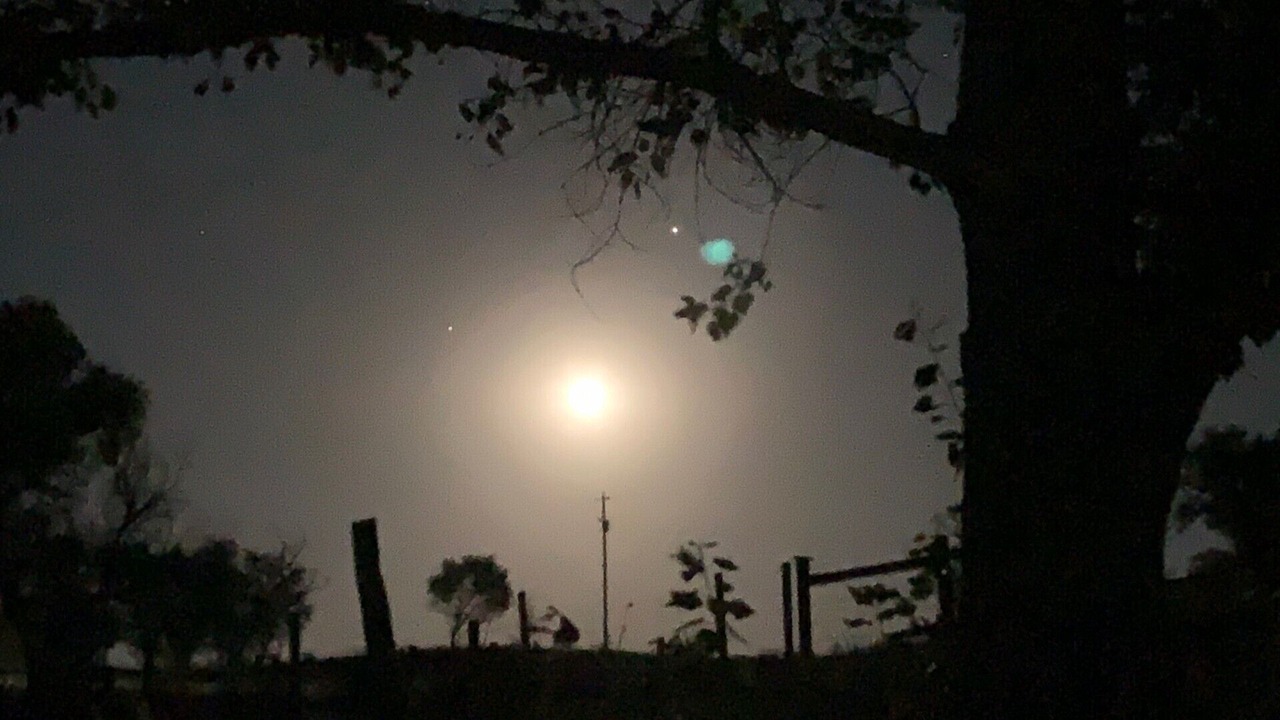 Photo of Outdoor in Wray