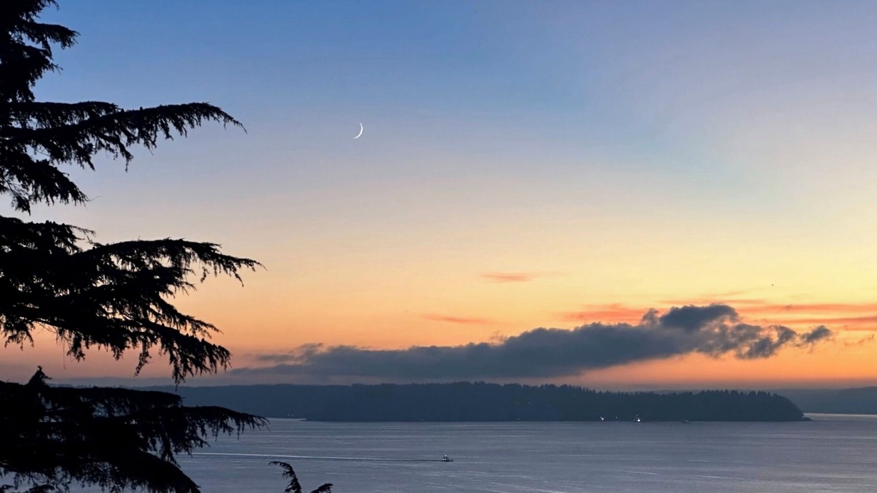 Photo of Others in West Seattle