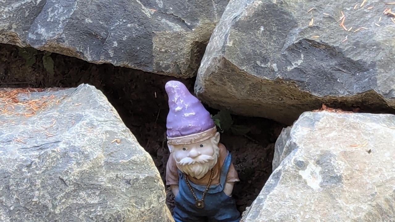 Photo of Others in Packwood