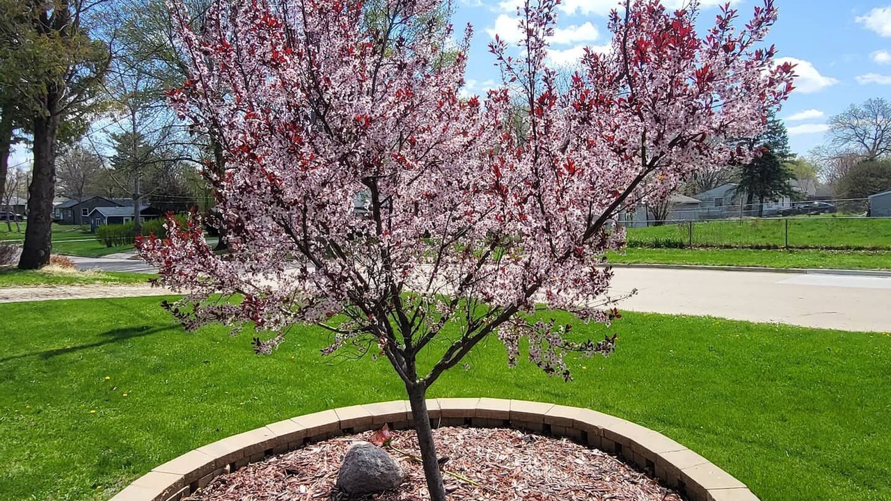 Photo of Outdoor in Greater South Side