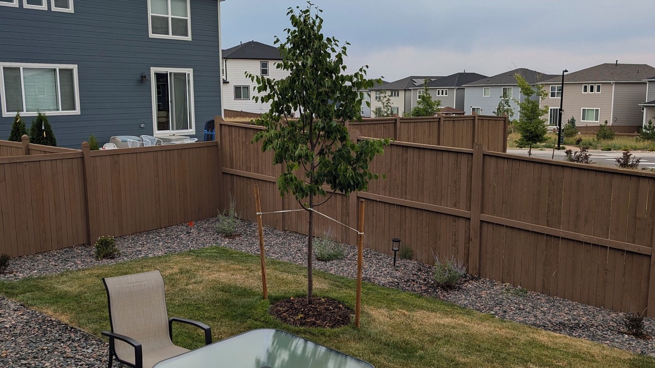 Photo of Outdoor in Castle Rock