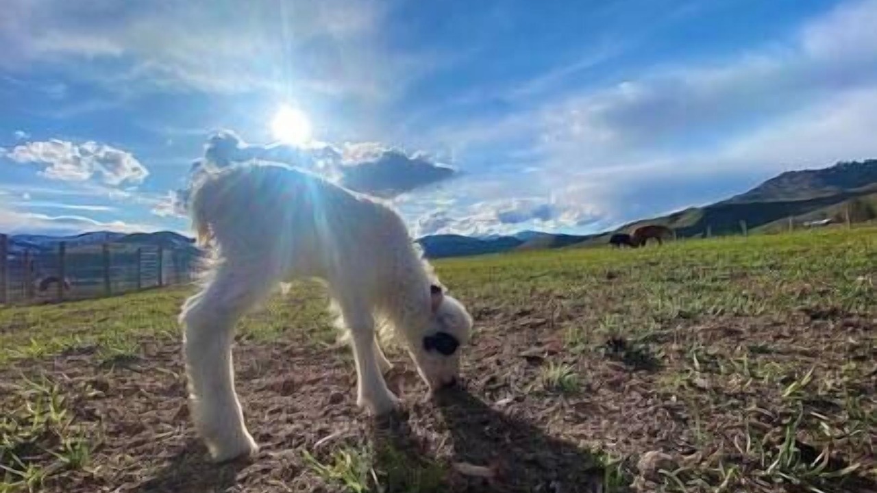 Photo of Others in Methow Valley