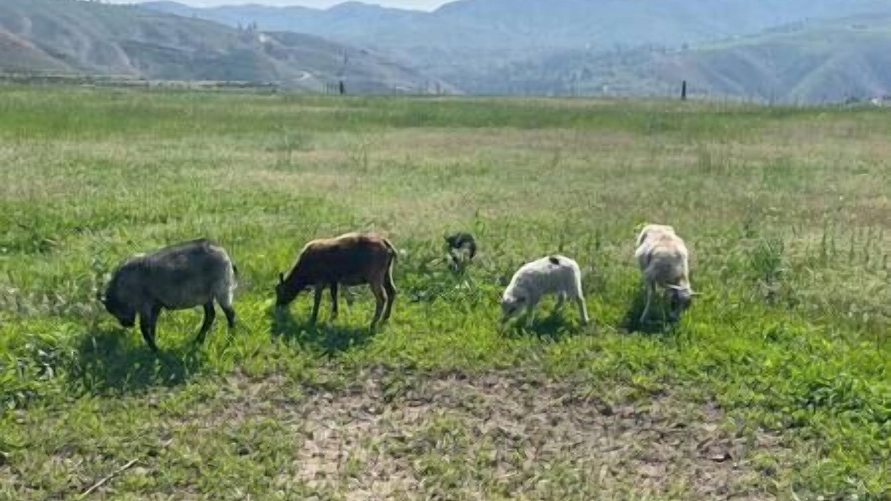 Photo of Others in Methow Valley