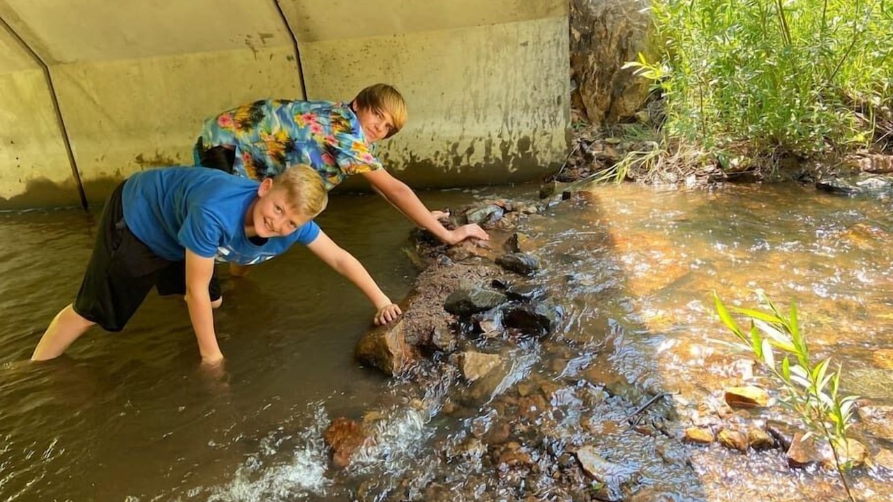 Photo of Others in Coal Creek Canyon