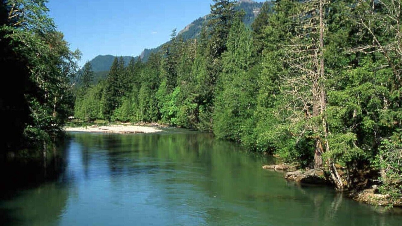 Photo of Others in Packwood