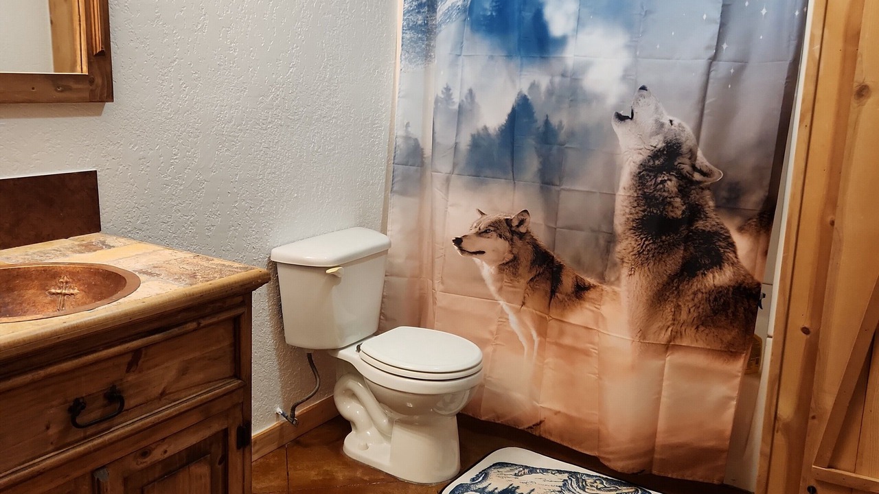 Photo of Bathroom in Sulphur