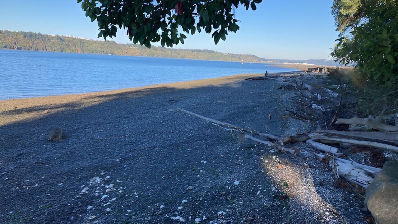 Photo of Others in Rollingbay