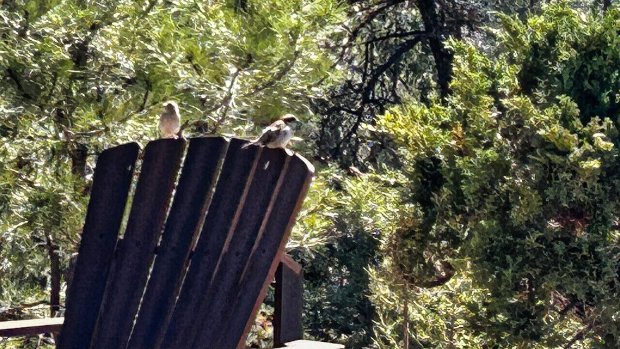 Photo of Others in Hot Springs