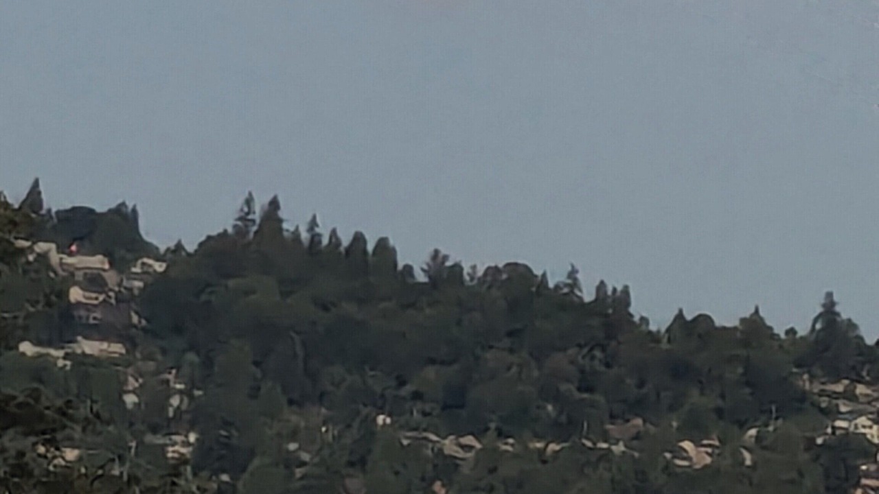 Photo of Others in Kennydale