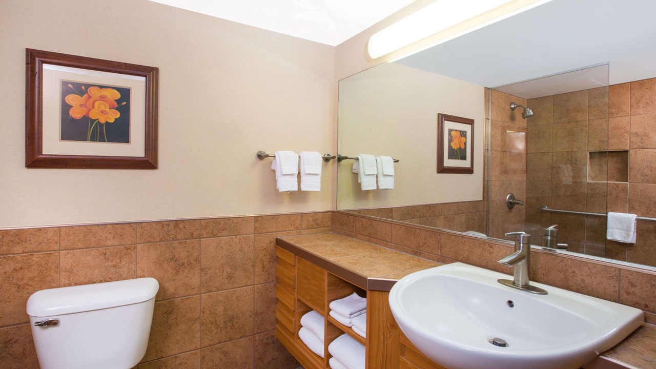Photo of Bathroom in Urbandale