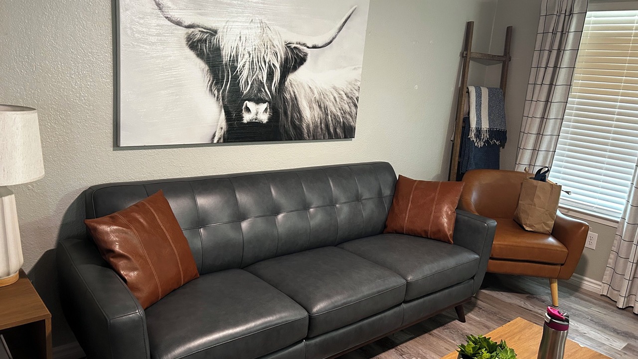 Photo of Livingroom in Central Arlington