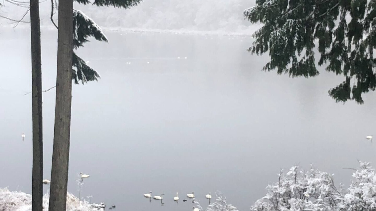 Photo of Outdoor in Mount Vernon