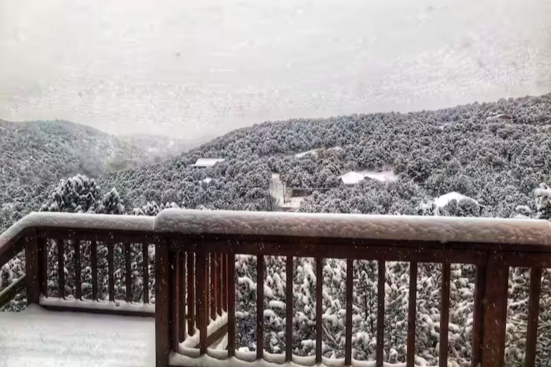 Photo of Outdoor in Cedar Crest