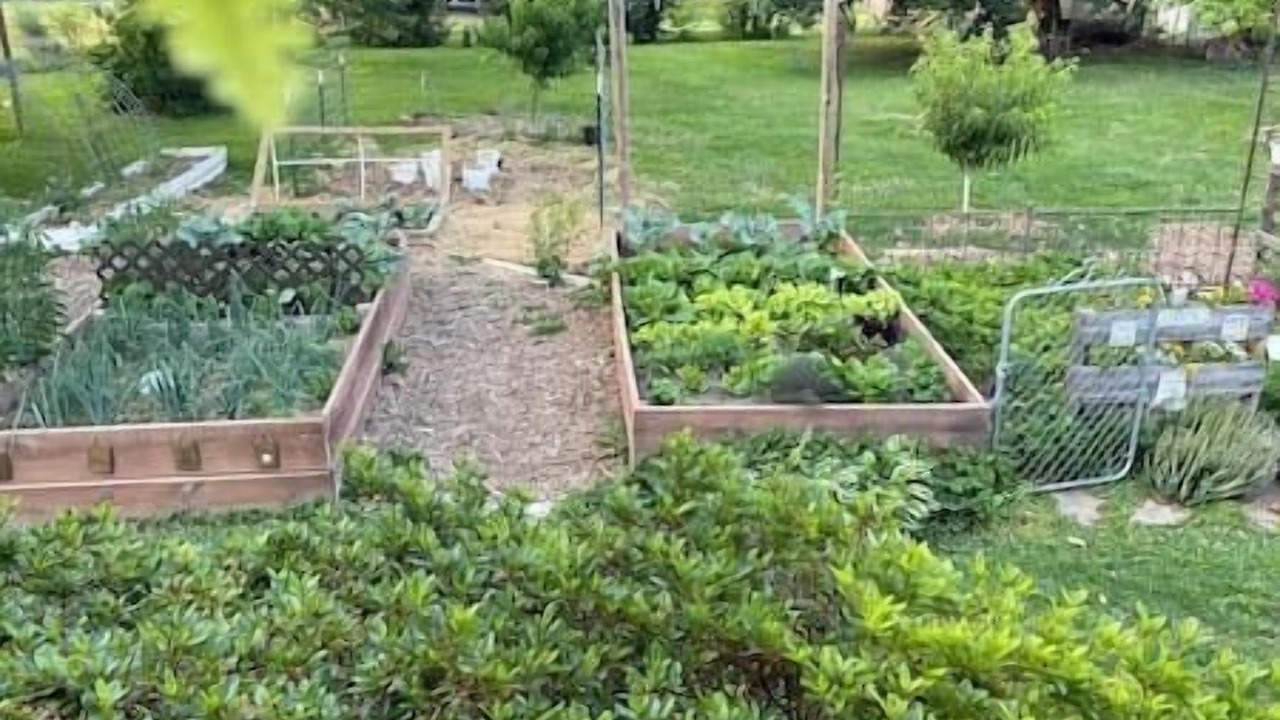 Photo of Outdoor in Burlington