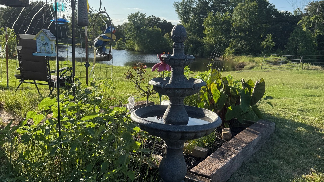 Photo of Outdoor in Shawnee