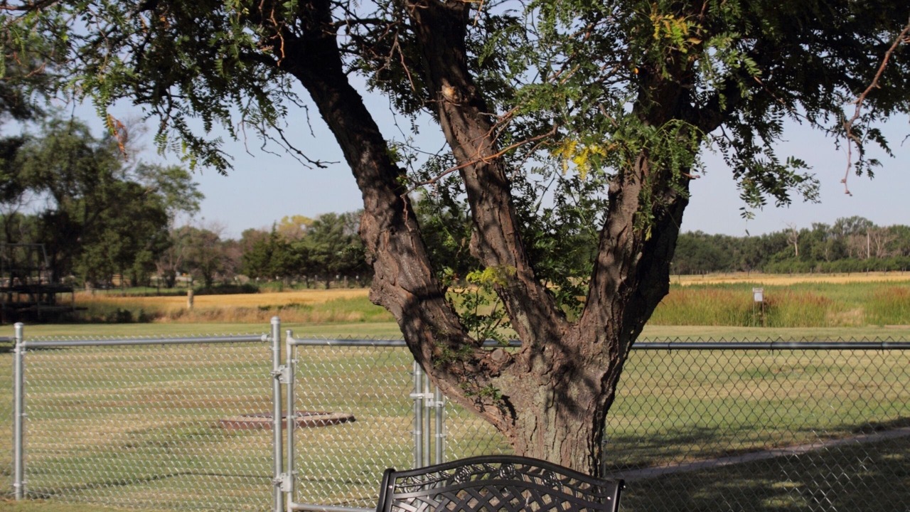 Photo of Outdoor in Pfeifer