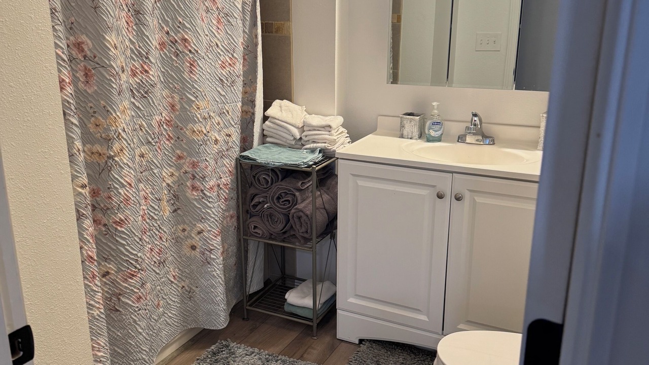 Photo of Bathroom in Council