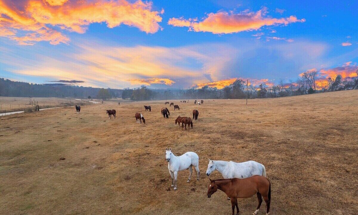 Photo of Others in Golden