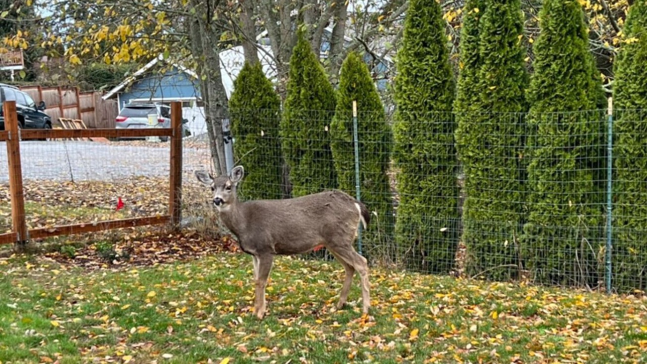 Photo of Outdoor in Freeland