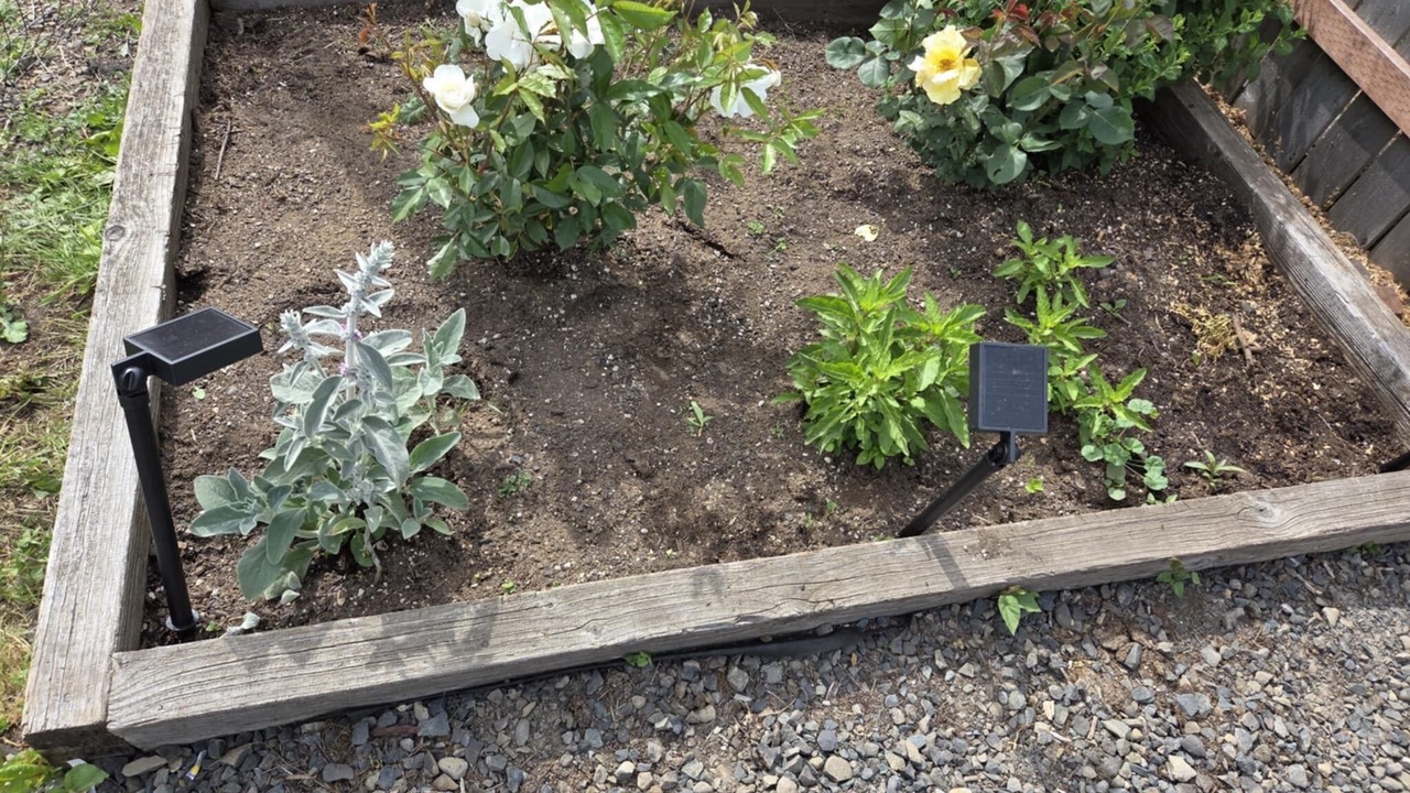 Photo of Outdoor in Forks