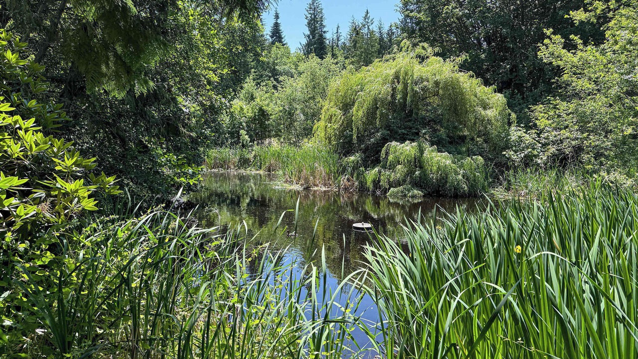 Photo of Others in Sequim