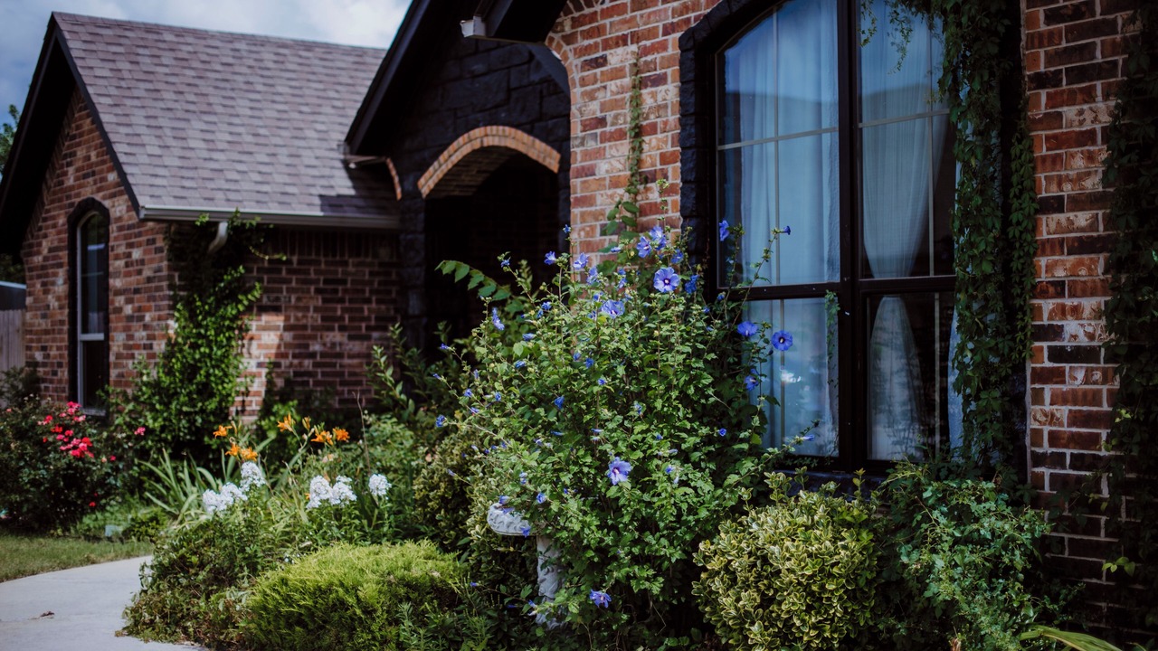 Photo of Outdoor in Westbury South
